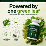 BaseState Moringa Capsules